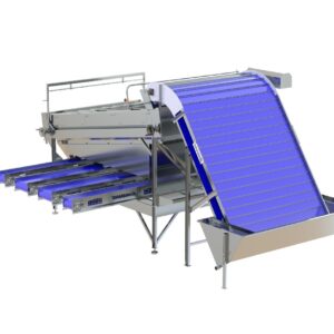 Classificador De CamarÃo