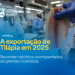 Exportacao tilapia