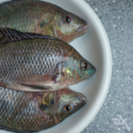 Cópia de Sem nome (Post para LinkedIn)