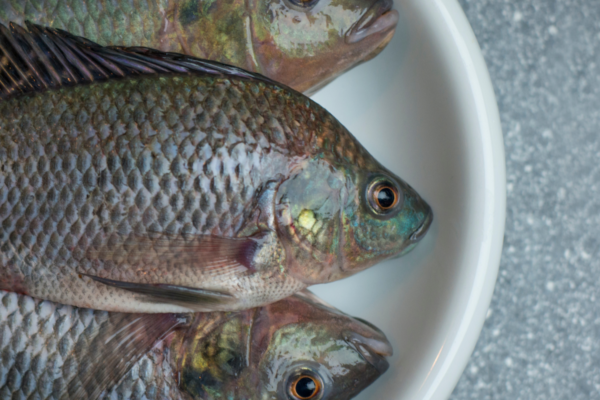 Cópia de Sem nome (Post para LinkedIn)