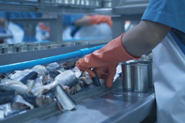 B002 Gargalos na produção industrial como identificar